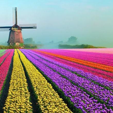 Netherlands