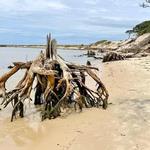 Hiking and Sightseeing at Savage Neck Dunes State Natural Area Preserve