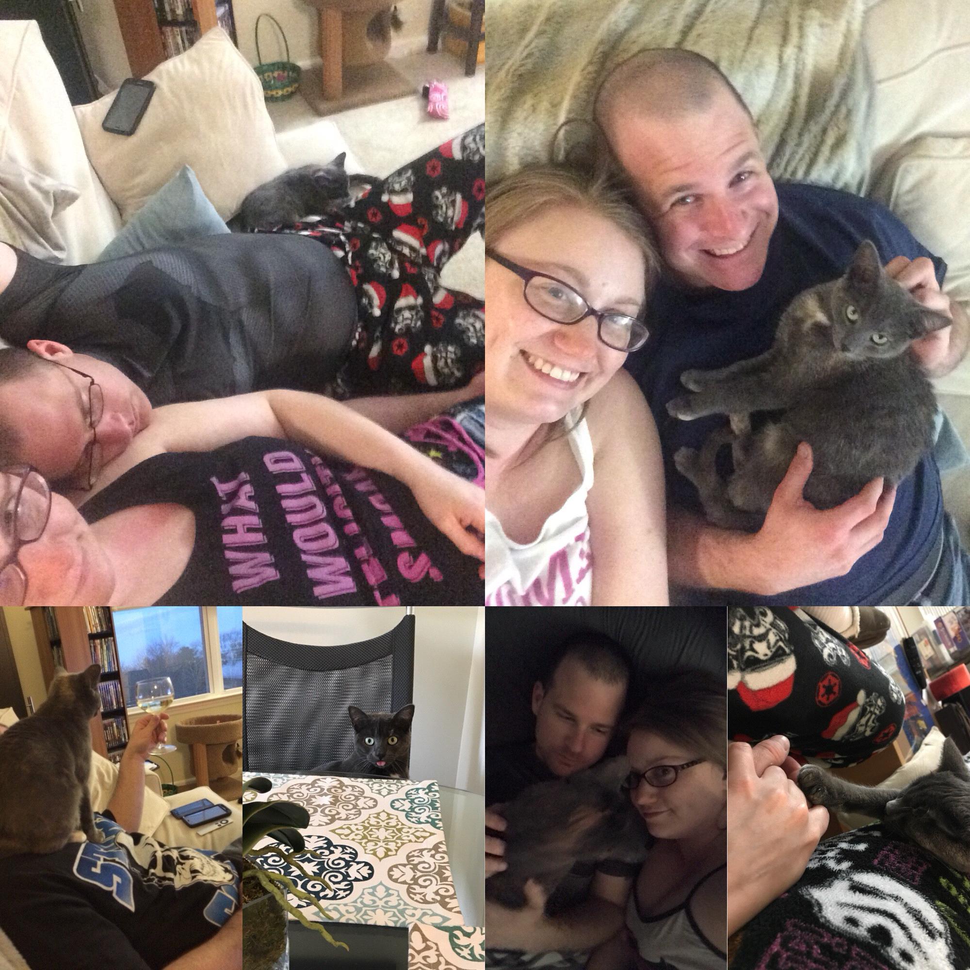 Only a few days after they returned from their first trip to California, Danielle and Brian adopted Luna, a twelve-week-old dilute tortie. She continues to make them laugh and swoon on a daily basis.
