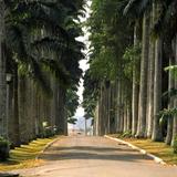 Aburi Botanical Gardens