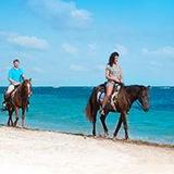 Horseback Riding