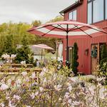 Nostrano Vineyards