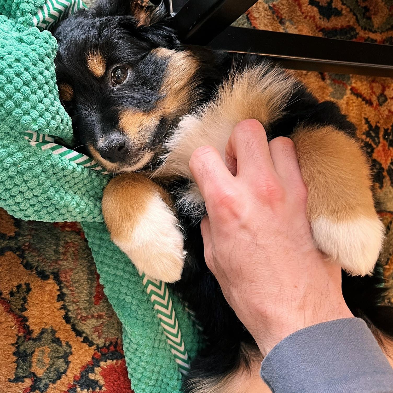 Baby Sunny