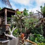 San Diego Botanic Garden