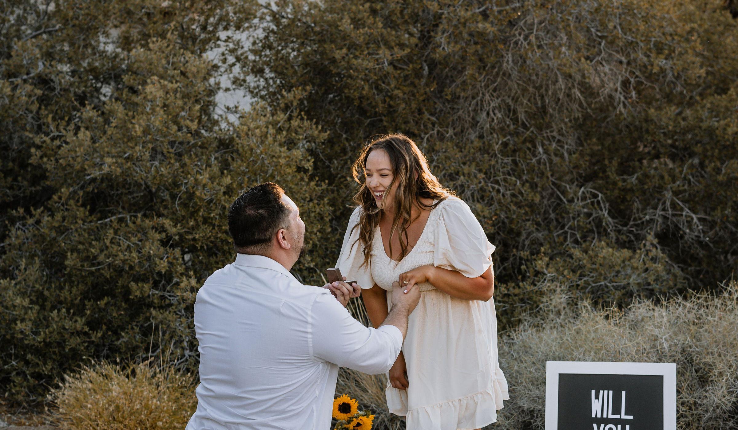 Andrew Gallardo and Kamry Hardesty's Wedding Website