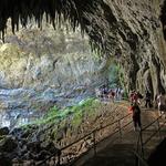 Parque Nacional de las Cavernas del Río Camuy