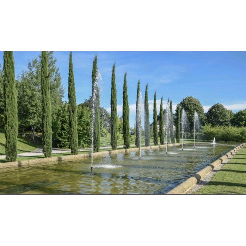 The wedding venue
