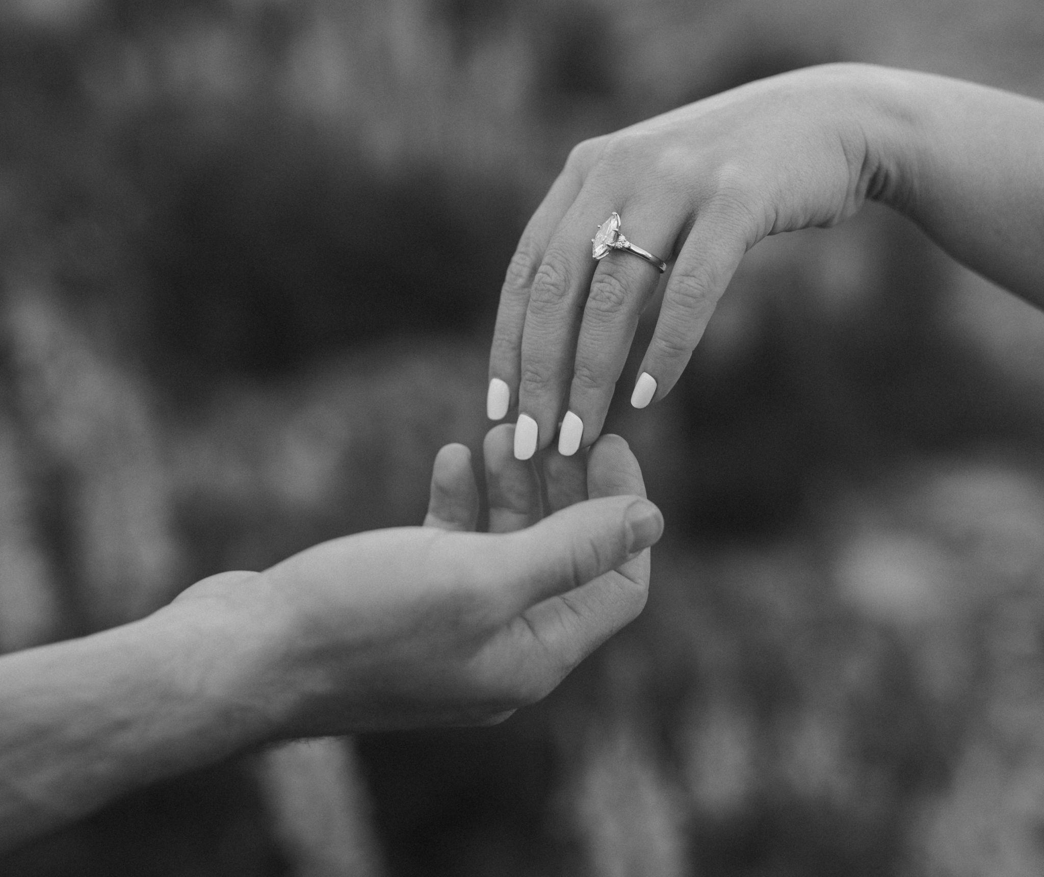 The Wedding Website of Mariah Seybold and Antonino Candela