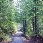 Headwaters Reserve Elk River Trail