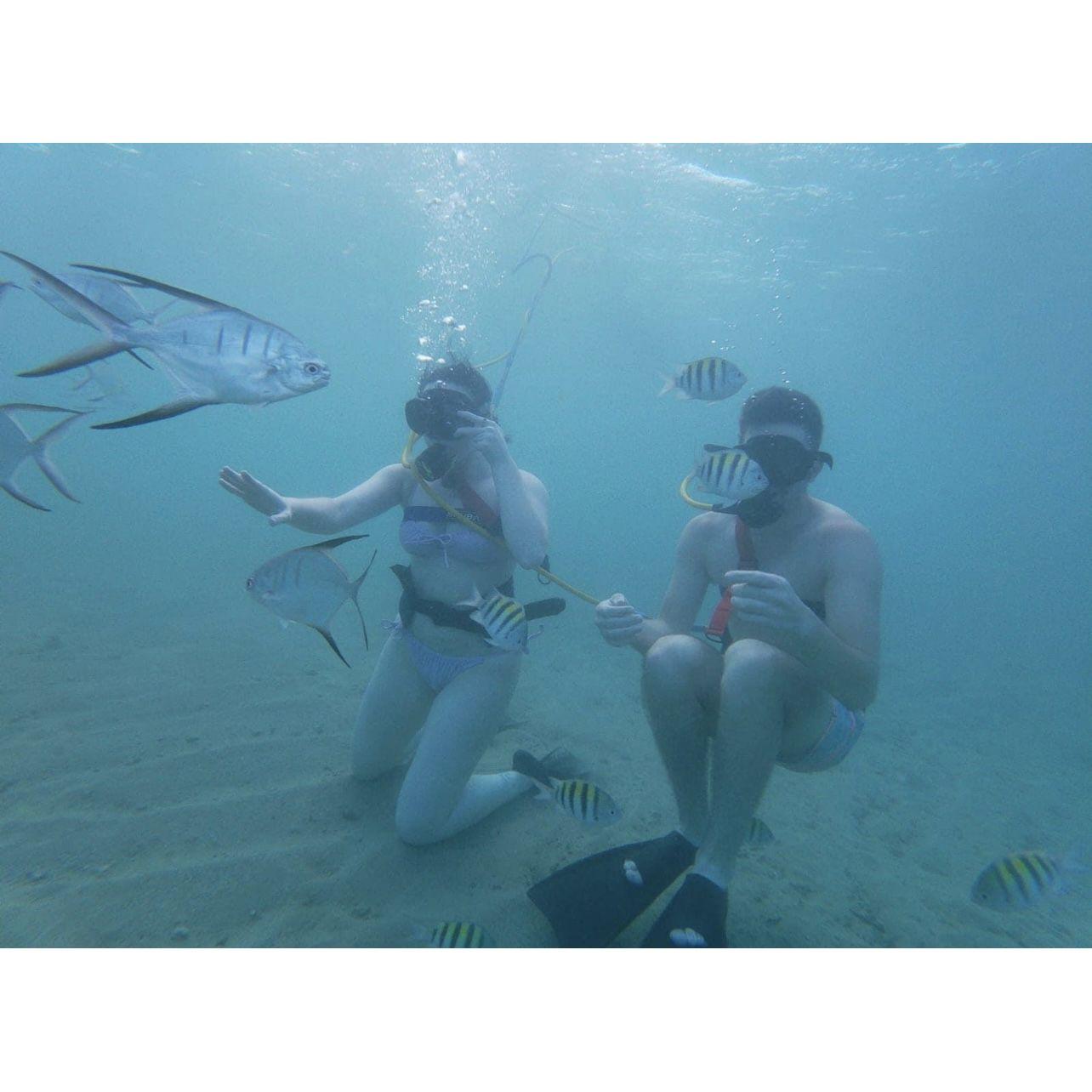 Erin's first time doing SNUBA Adventures in Key West!