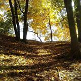 High Park