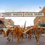 Fort Worth Stockyards