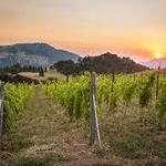 Wineries