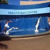 Maui Ocean Center, The Aquarium of Hawaii