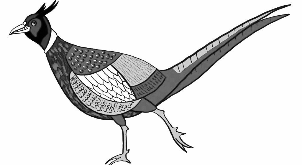 Footer image