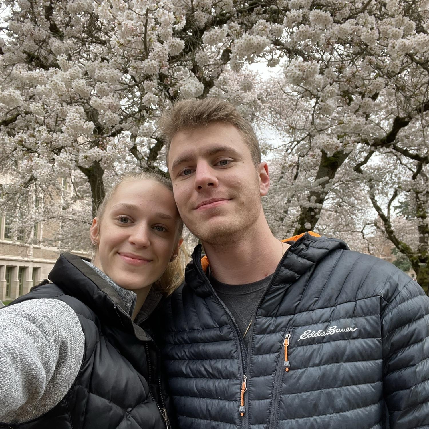 We love visiting the cherry blossoms every year!