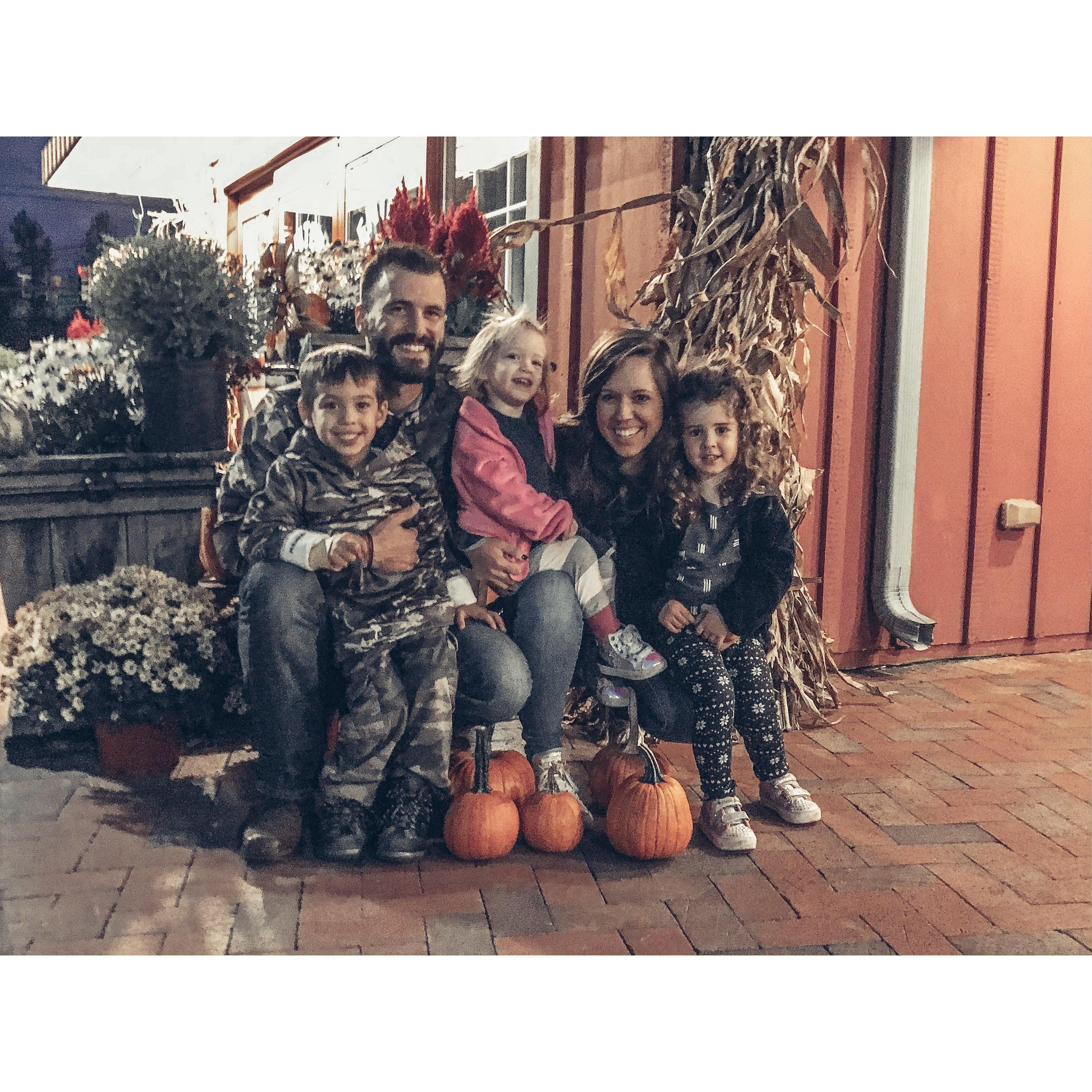 Pumpkin' pickin' with our pumpkins