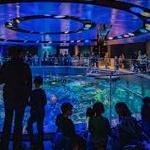 New England Aquarium