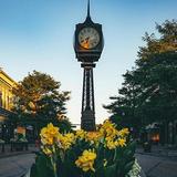 Downtown Northville