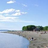 Golden Gardens Park