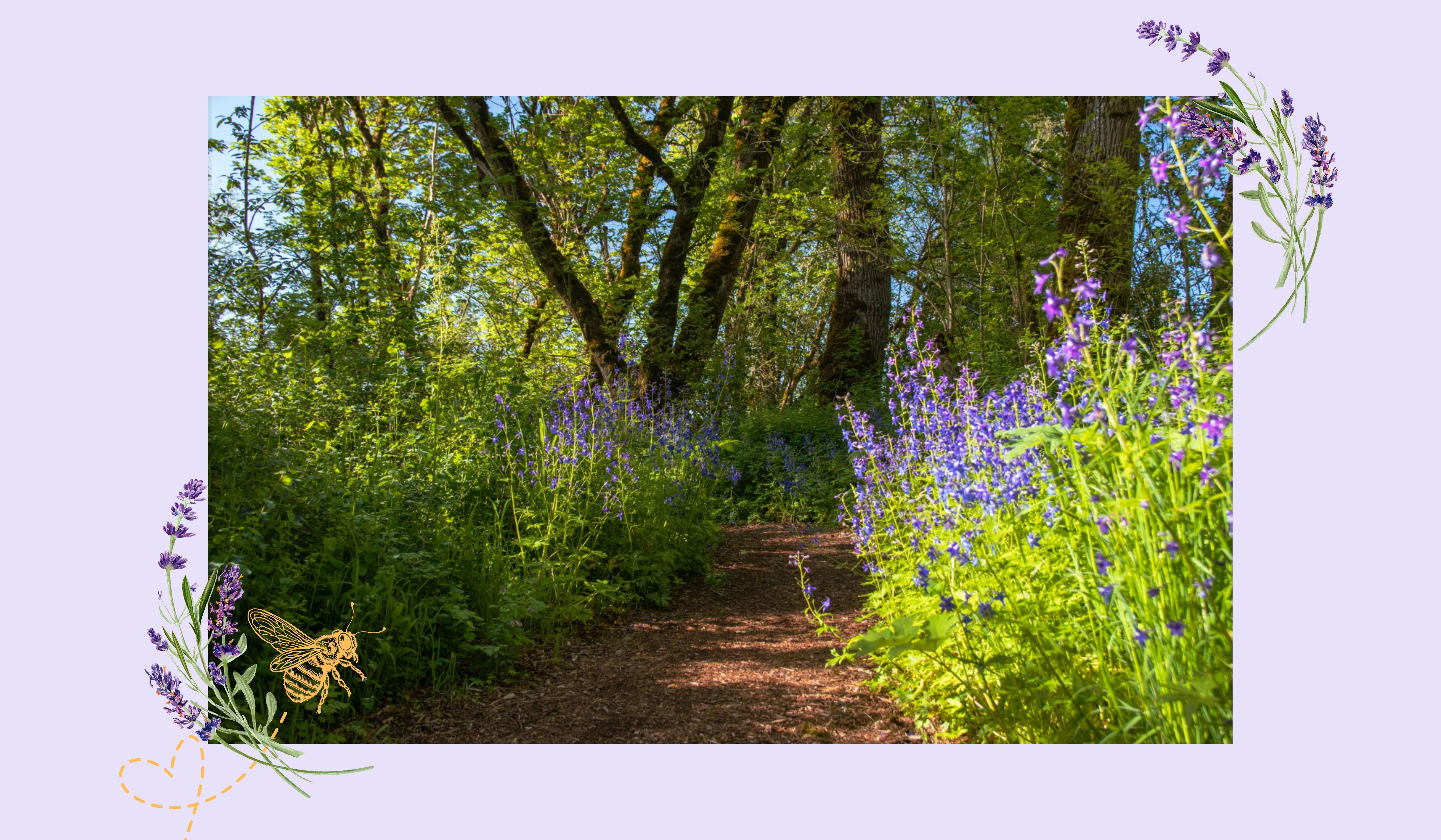 Footer image