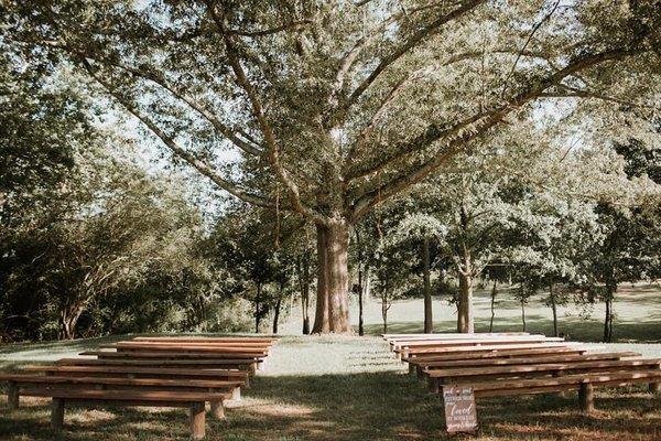 The Wedding Website of Kaylee Gaines and Landon Gaines