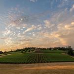 Domaine Serene Winery