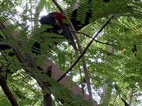 Diamante Eco Adventure Park