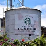 Hacienda Alsacia Starbucks Coffee Farm