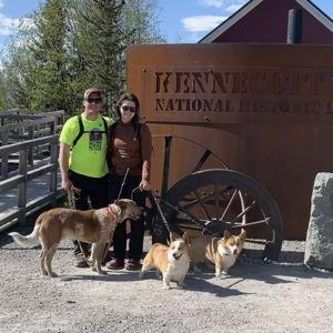 Pet Sitter For Our Honeymoon