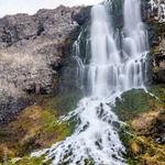 Thousand Springs State Park - Ritter Island