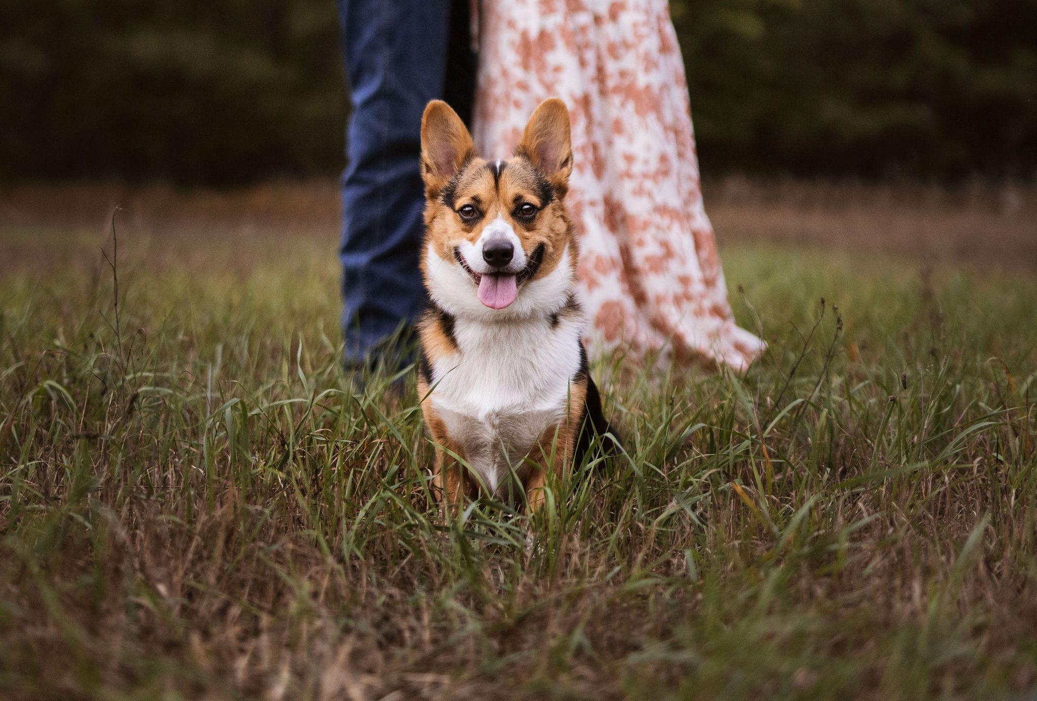 The Wedding Website of Addison Walstra and Riley Lohman