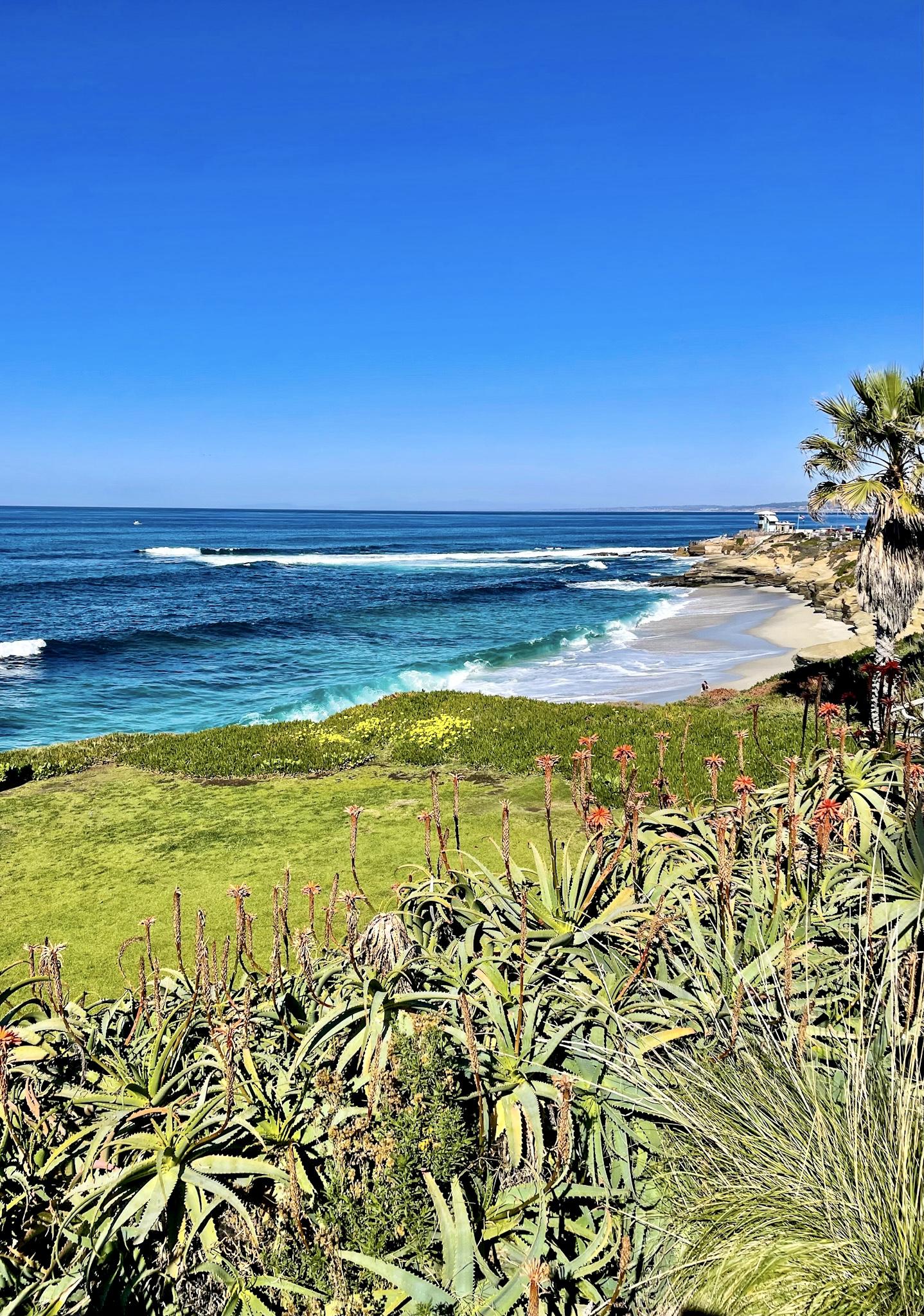 The Wedding Website of Rebecca Rainford and Jay Prasad