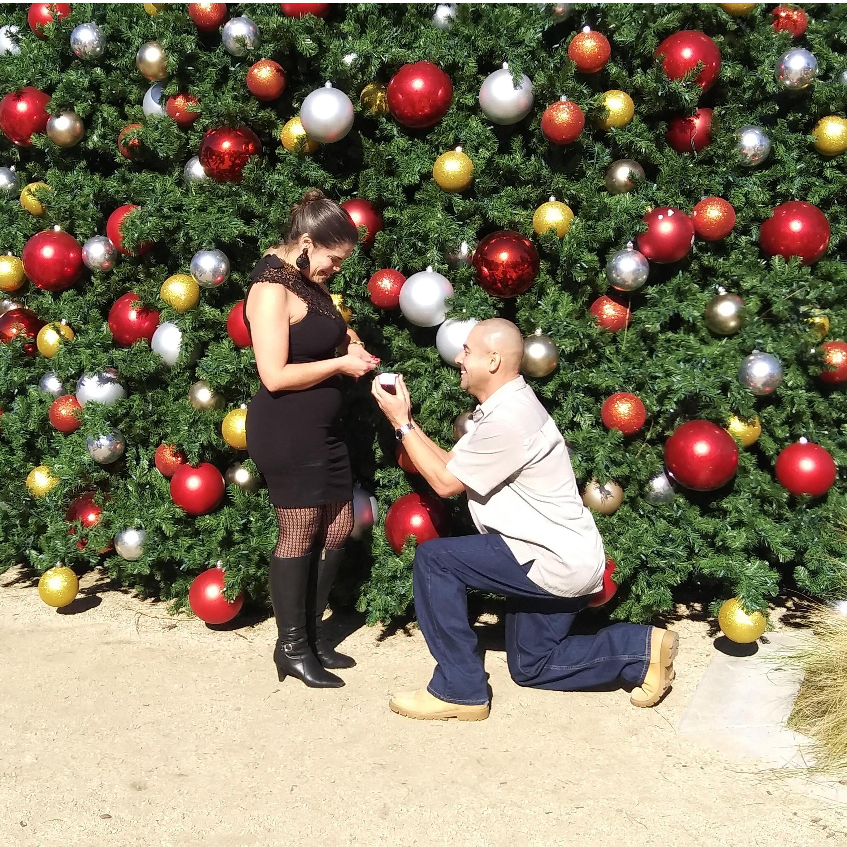 She said "Yes"!