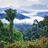 Mindo Valley