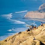 Torrey Pines State Natural Reserve