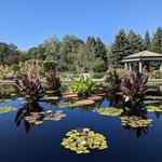 Denver Botanic Gardens