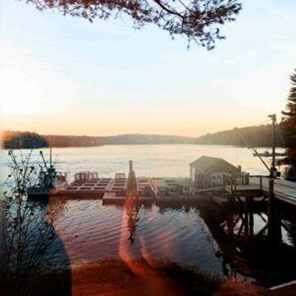 Oyster Farm Gift Card
