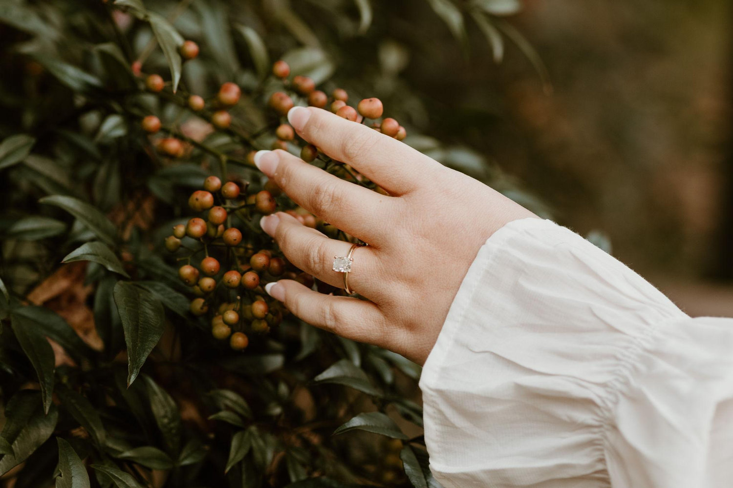 The Wedding Website of Jourdain Brie Foster and Elson Vladimir Banos Erazo