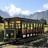 Cape Town Wine Tasting Tour