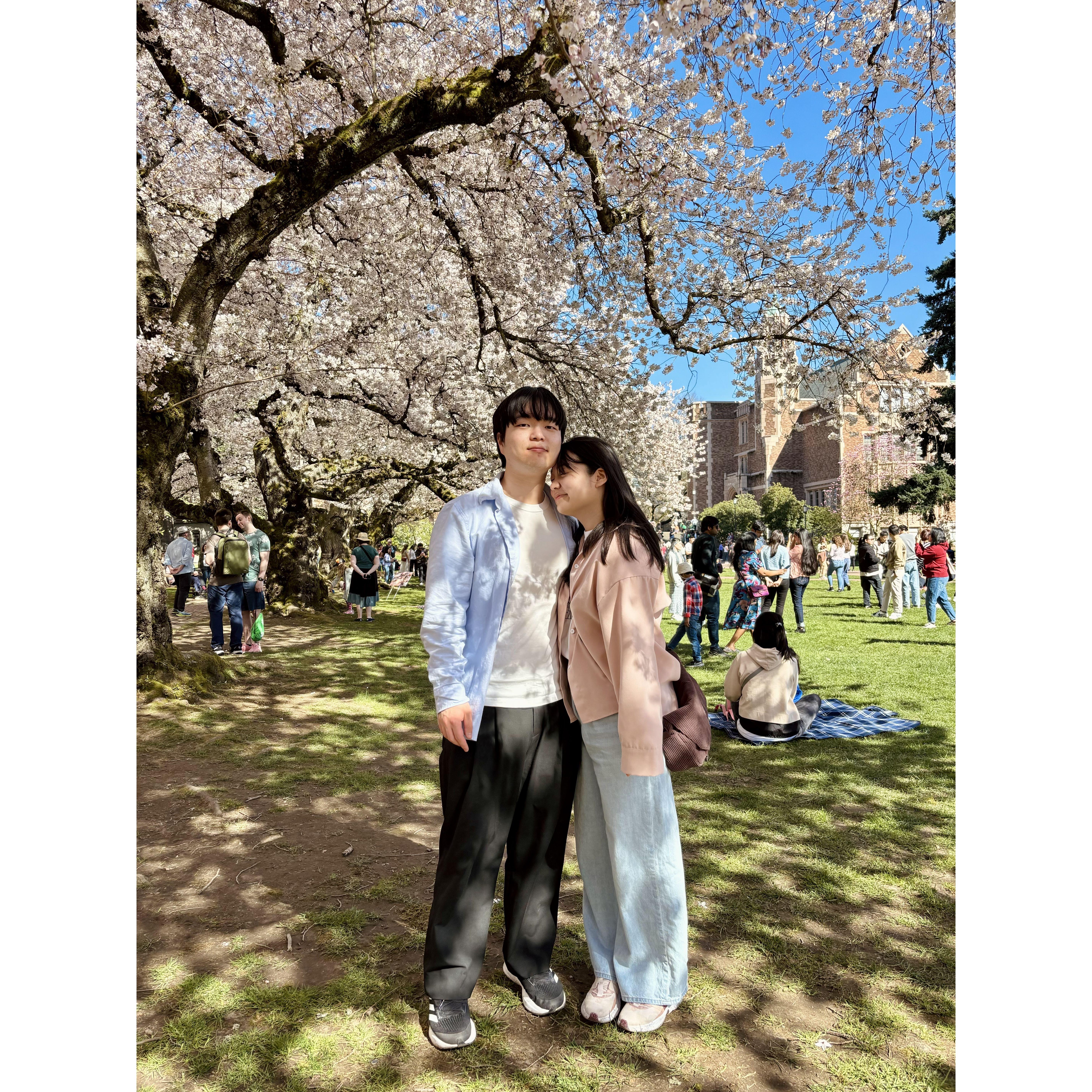 The Quad at UW