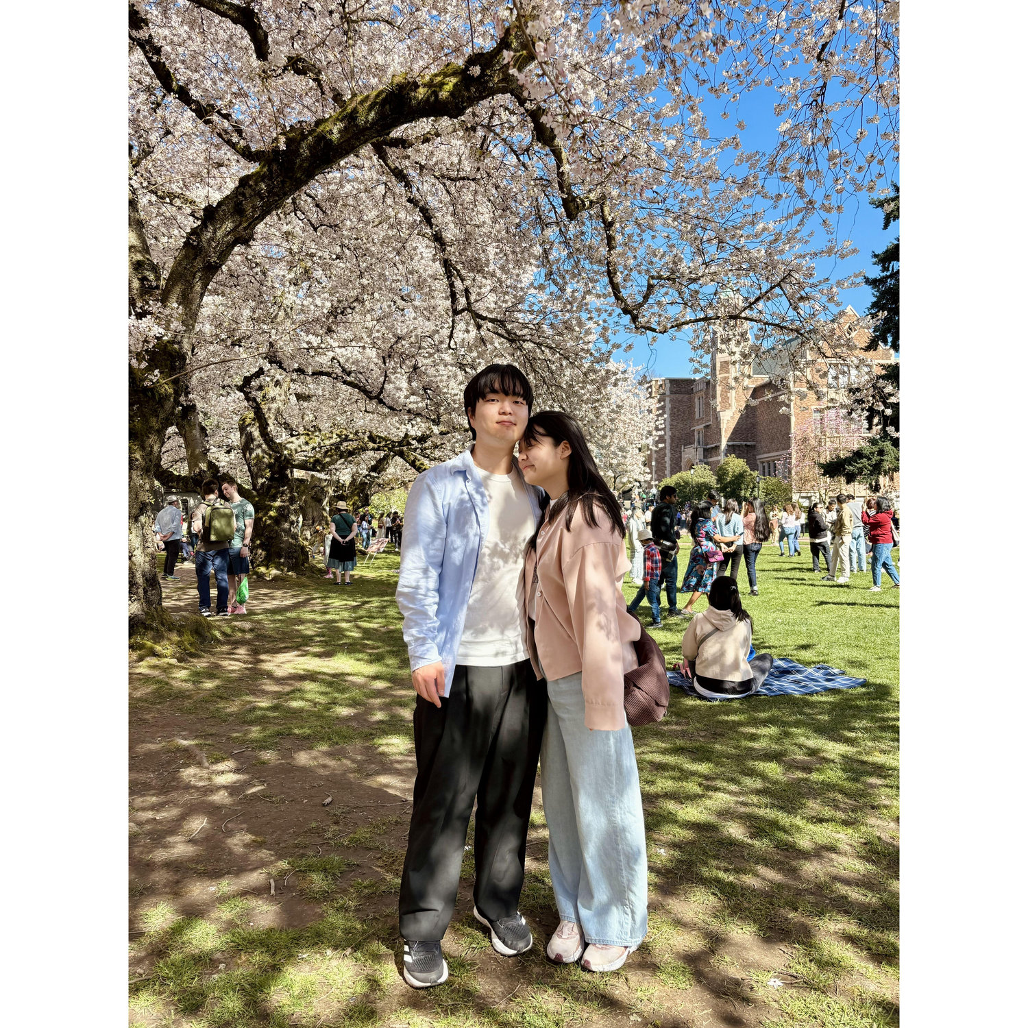 The Quad at UW