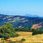 Hikes and Outdoor Adventures