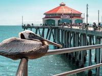 Pier Plaza Art-A-Faire at Main Street