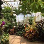 Daniel Stowe Conservancy