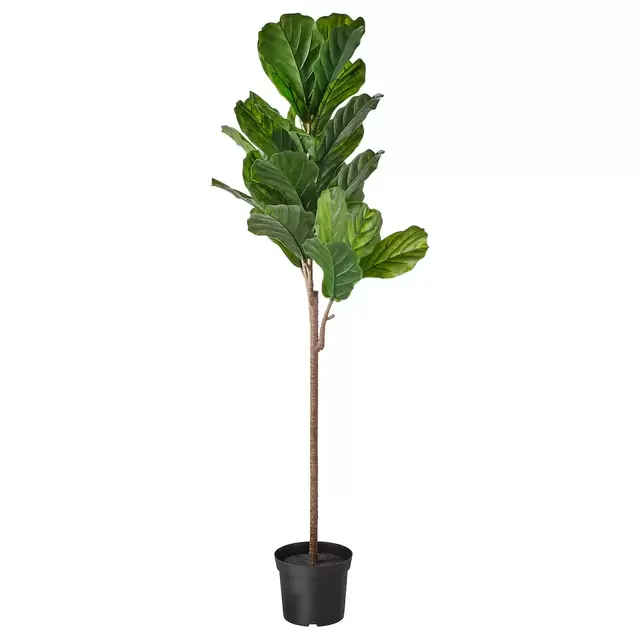 FEJKAArtificial potted plant, indoor/outdoor fiddle-leaf fig7 ½ "