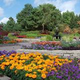 Minnesota Landscape Arboretum