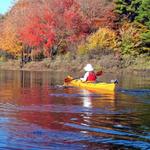 Kayaking Rentals