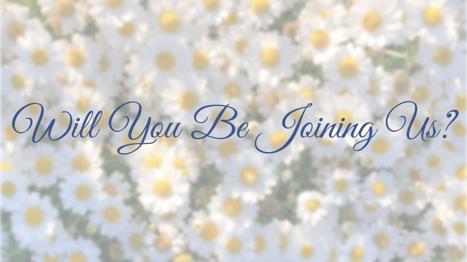 The Wedding Website of Carolina Brooks and Kean Jagitsch