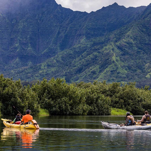Kayak Tour to Secret Falls